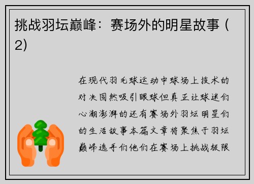 挑战羽坛巅峰：赛场外的明星故事 (2)