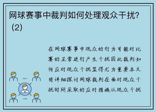 网球赛事中裁判如何处理观众干扰？ (2)